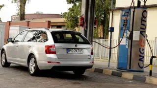 Srebrne kombi Skoda Octavia tankuje gaz ziemny na stacji. W tle budynki i drzewa.