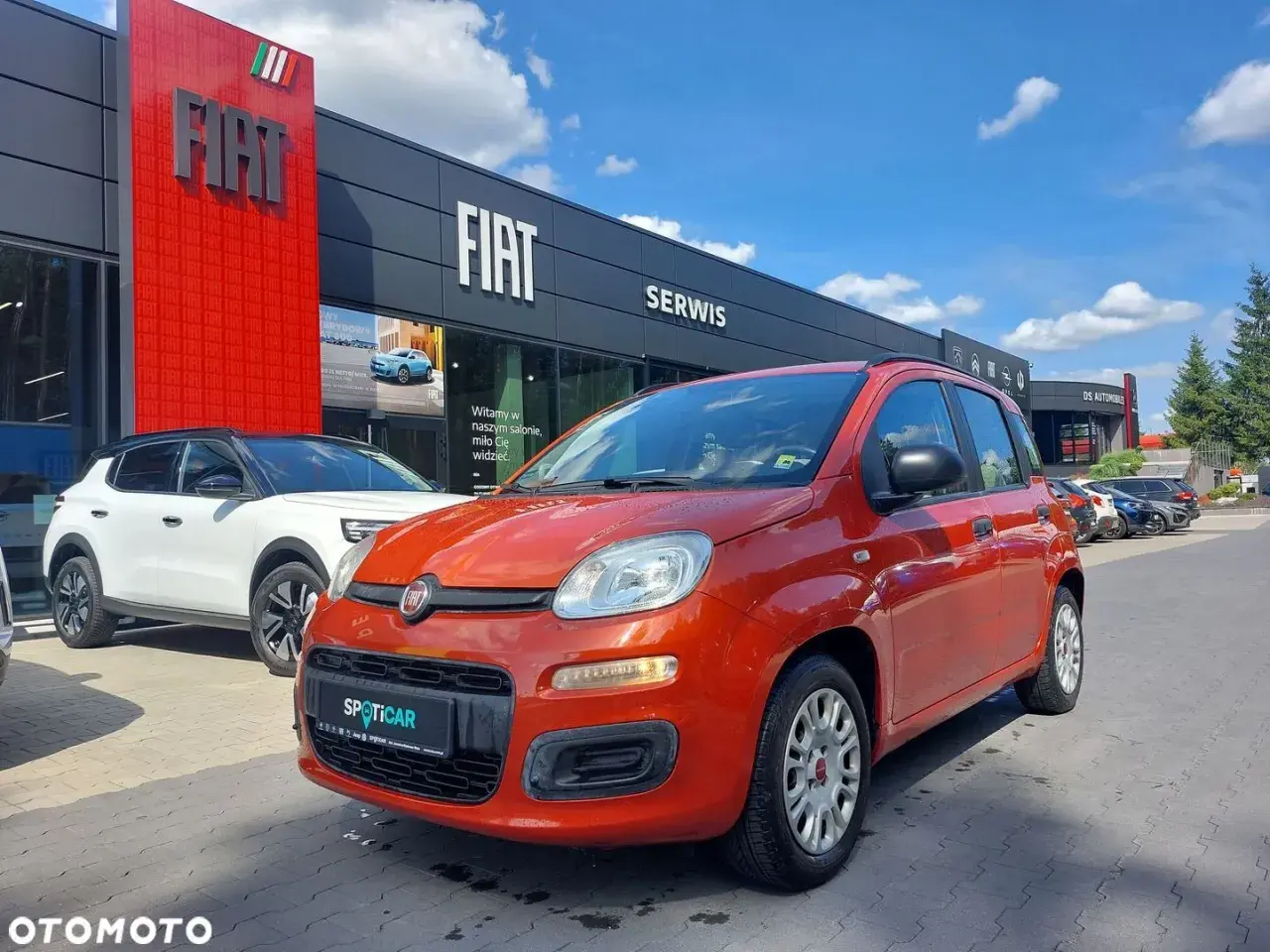 Pomarańczowy fiat panda używany z salonu czeka na nowego właściciela. Obok biały SUV.